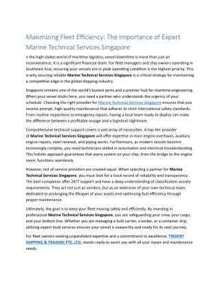 The Importance of Expert Marine Technical Services Singapore