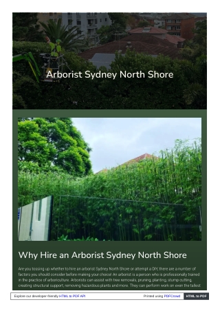 Arborist Sydney North Shore