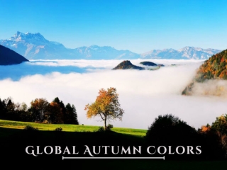 Global Autumn Colors