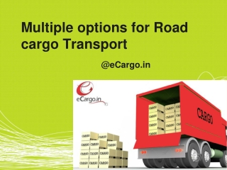 Multiple Options for Road Cargo Transport
