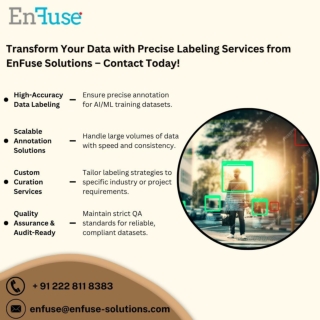 Transform Your Data with Precise Labeling Services from EnFuse Solutions