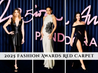 2025 Fashion Awards Red Carpet