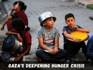 Gaza's Deepening Hunger Crisis