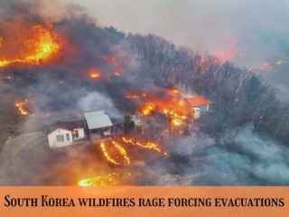 South Korea wildfires rage forcing evacuations