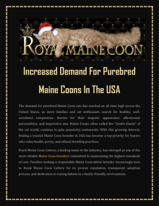 Increased Demand For Purebred Maine Coons In The USA