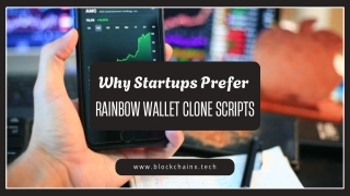 Why Startups Prefer Rainbow Wallet Clone Scripts Over Custom Builds