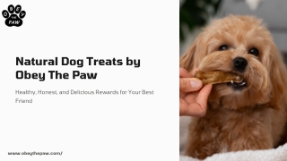 Healthy Natural Dog Treats Made with Wholesome Ingredients