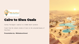 Journey from Egypt’s Capital to a Hidden Desert Paradise