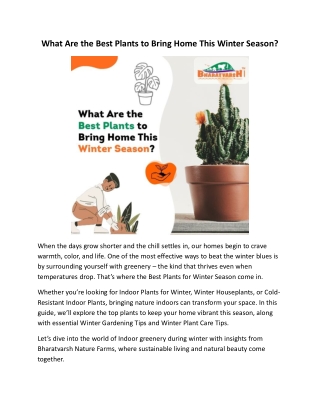 What Are the Best Plants to Bring Home This Winter Season?