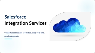 Salesforce Integration Services