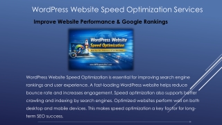 WordPress Website Speed Optimization,