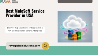 Expert Enterprise Integration Services | Rava Global Solutions