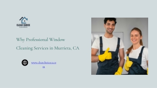 Why Professional Window Cleaning Services in Murrieta CA