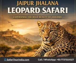 Step into the wild… where Jaipur’s most majestic leopards rule the night