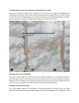 The Hidden Risks of Spray Foam Insulation and Why Removal is Crucial