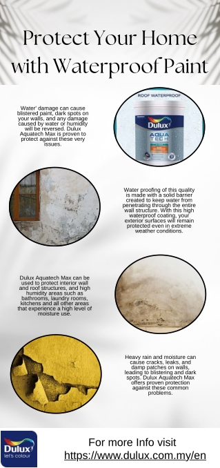 Protect Your Home with Waterproof Paint