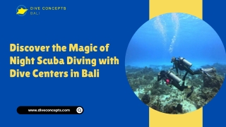 Discover the Magic of Night Scuba Diving with Dive Centers in Bali