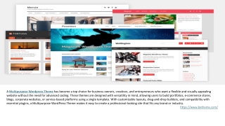 Popular Wordpress Themes