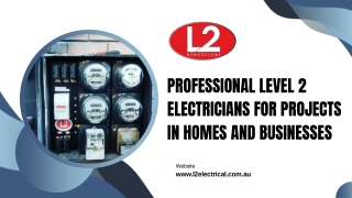 Professional Level 2 Electricians for Projects in Homes and Businesses