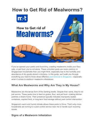 How to Get Rid of Mealworms?