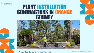 Why Choose Expert Plant Installation Contractors In Orange County