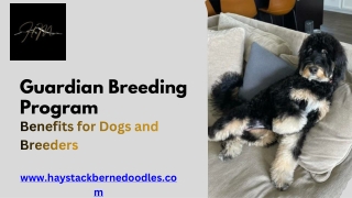 Ethical Dog Breeding Through a Guardian Breeding Program