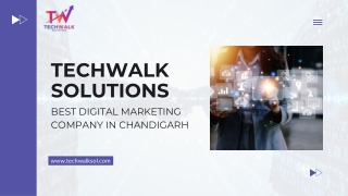Best SEO Services in Chandigarh | Techwalk Solutions