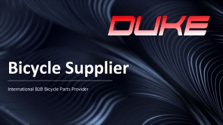 China Electric Bike Supplier Serving International B2B Buyers