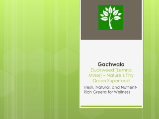 Gachwala_Duckweed_Presentation