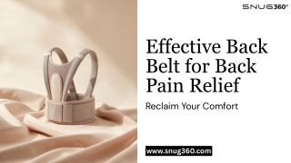 Effective Back Belt for Back Pain Relief