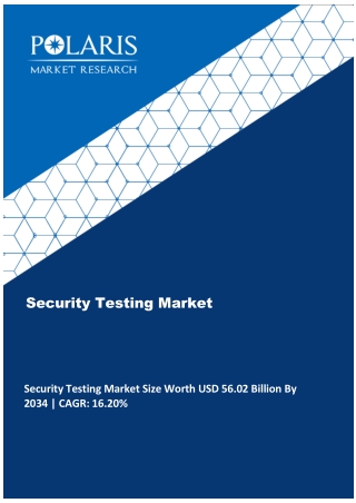Security Testing Market