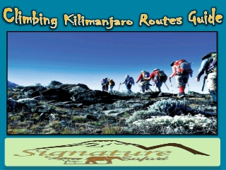 Climbing Kilimanjaro Routes Guide