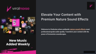 Nature Sound Effects for Relaxation, Videos, and Meditation