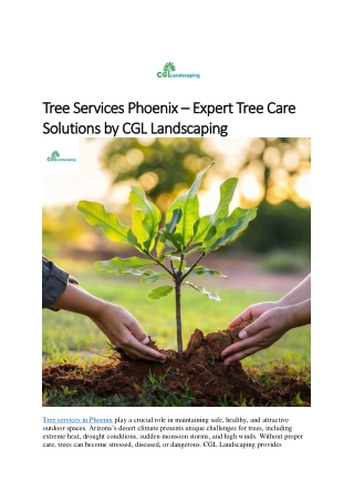 Tree Services Phoenix – Expert Tree Care Solutions by CGL Landscaping
