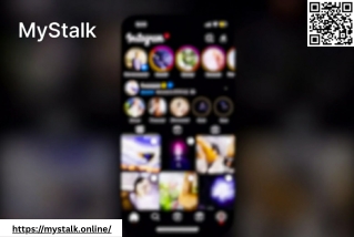 MyStalk Web Viewer for Discreet Instagram Access