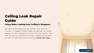 Ceiling Leak Repair Singapore | Fix Water Leaking from Ceiling Fast