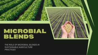 The Role of Microbial Blends in Sustainable Agriculture Practice