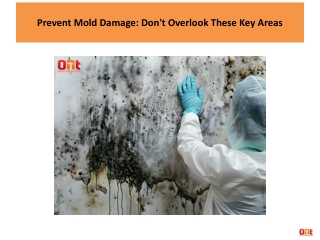 Prevent Mold Damage: Don't Overlook These Key Areas