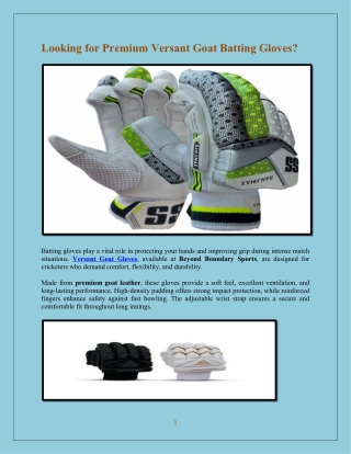 Looking for Premium Versant Goat Batting Gloves?