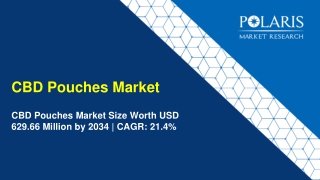 CBD Pouches Market