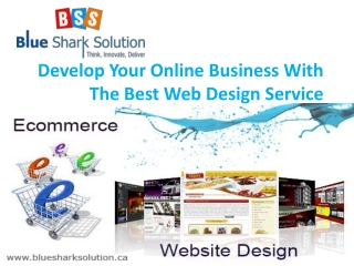 Develop your online business with best web design service