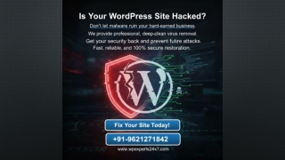 wordpress-virus-removal-wpexperts24x7.jpg