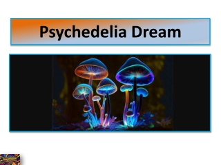 DMT Vape Pens – A Modern Format