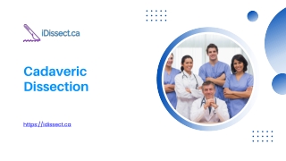 Cadaveric Dissection - idissect.ca