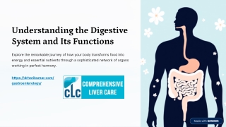 Understanding the Digestive System and Its Functions