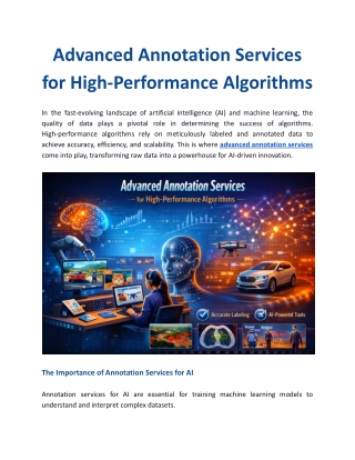 Advanced Annotation Services for High-Performance Algorithms