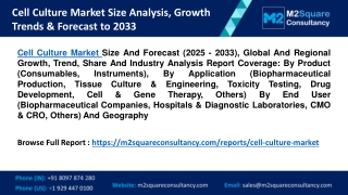 Cell Culture Market Size Analysis, Growth Trends & Forecast to 2033
