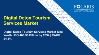 Digital Detox Tourism Services Market Size, Growth Trends & Industry Outlook
