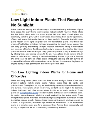 Best Low Light Indoor Plants for Sun-Free Spaces