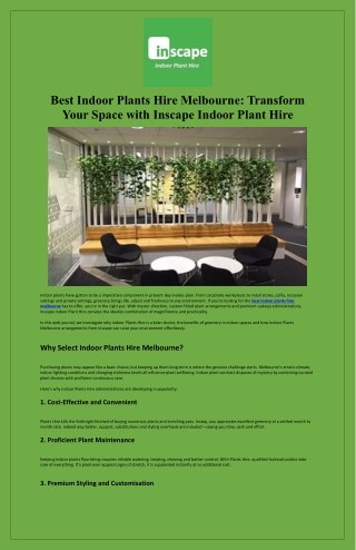 Best Indoor Plants Hire Melbourne Transform Your Space with Inscape Indoor Plant Hire